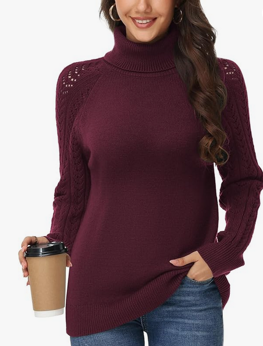 Pull Col Roulé Femme Élégant à Manches Brodées