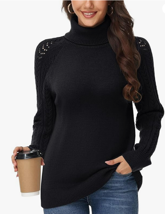 Pull Col Roulé Femme Élégant à Manches Brodées